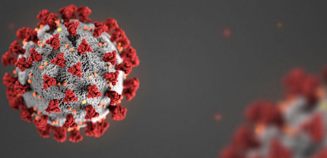 Коронавирус SARS-CoV-2 (фото с сайта CDC)